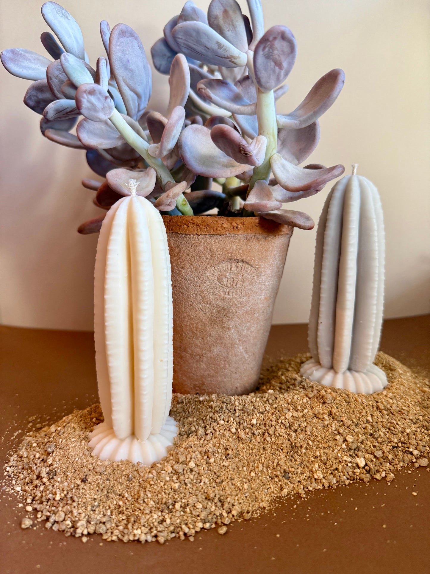 Bougie Cactus