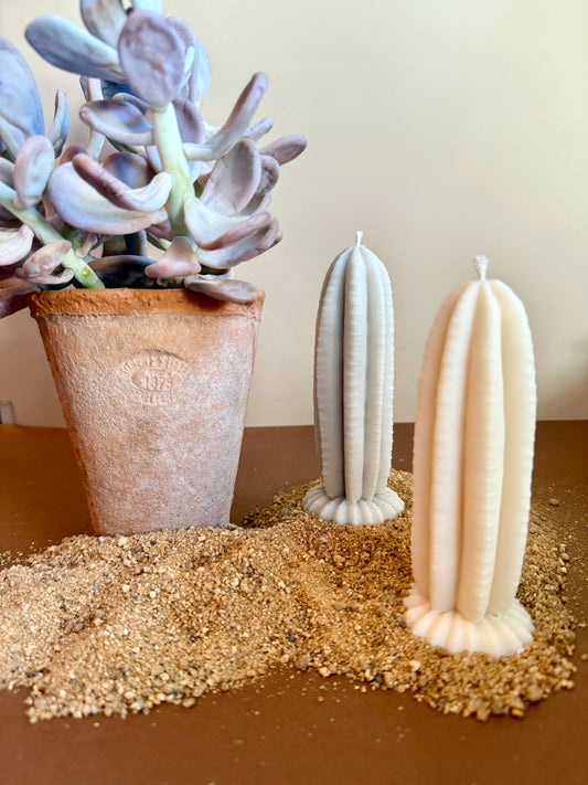 Bougie Cactus