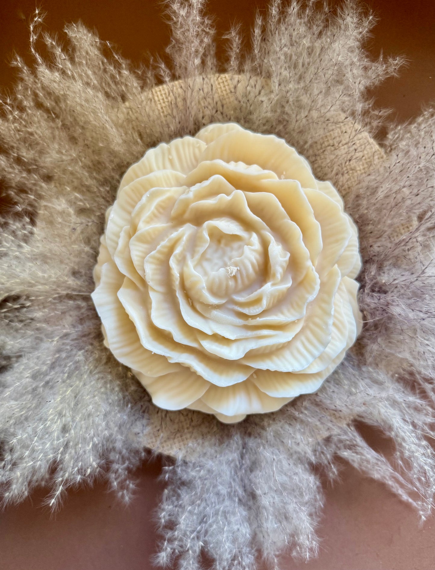 Bougie Pivoine
